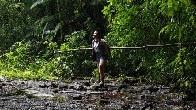 La Fortuna: Arenal Volcano, Lunch, & Hotsprings Morning Tour