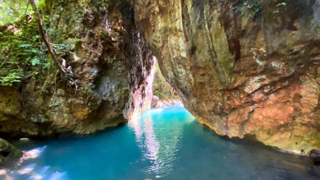 Guanacaste: La Leona Waterfall Hike with Lunch