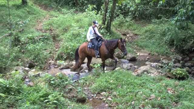 Private Horseback Riding - Río Celeste