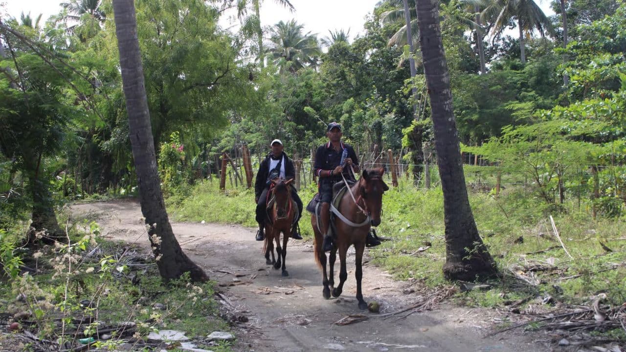 Beach horse back riding and countryside