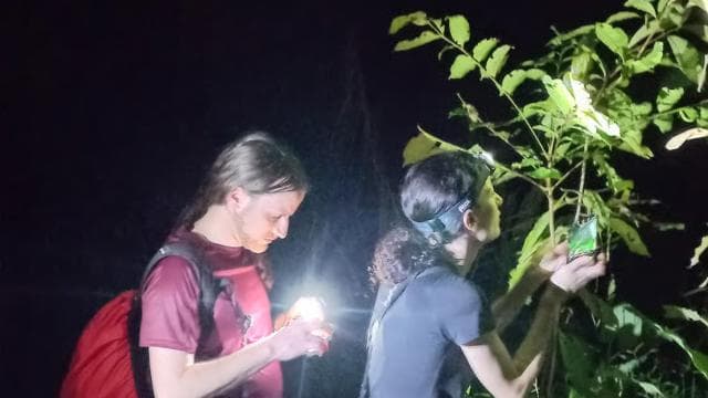 Jungle Pack x 3 Tour in the National Park