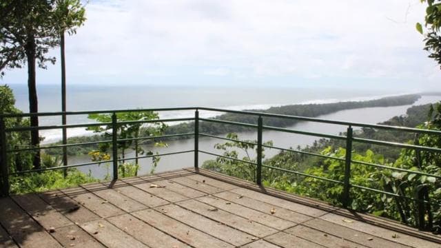 Tortuguero: Hike the Cerro Tortuguero Trail