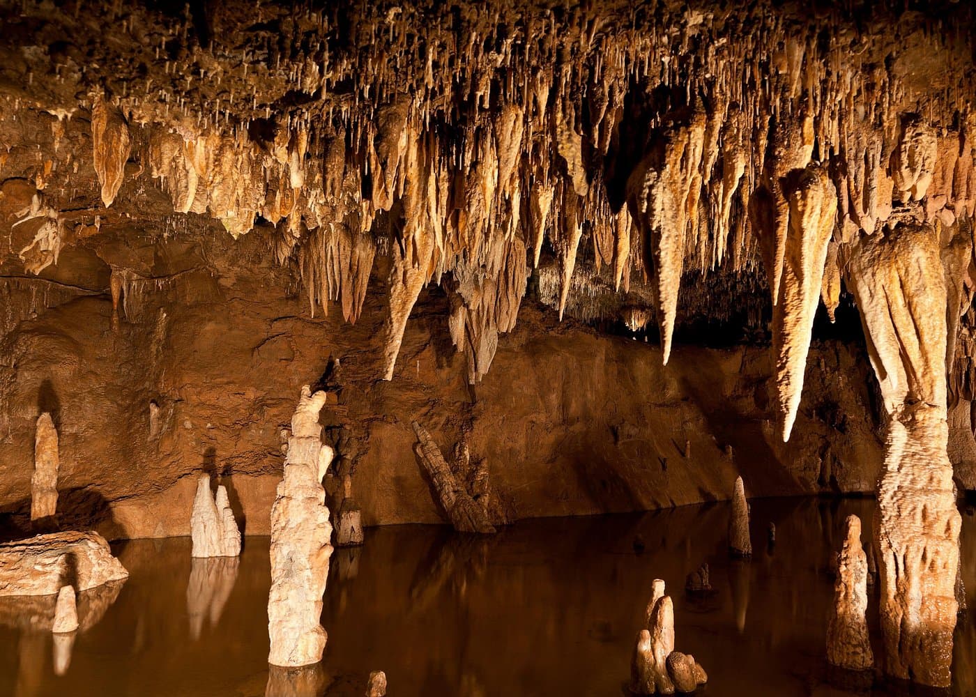 Green Grotto Caves Excursion from Ocho Rios