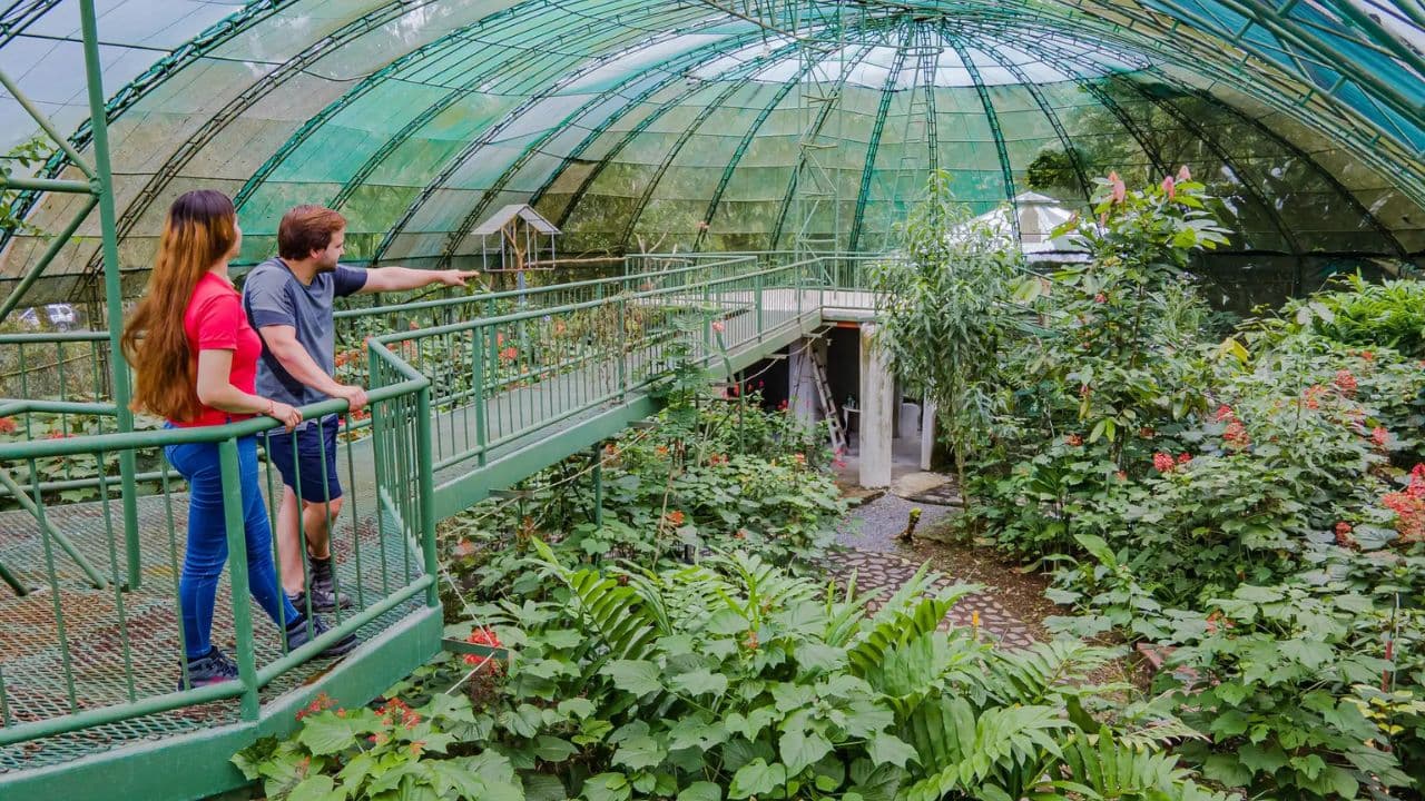 Jungle Eco Tour