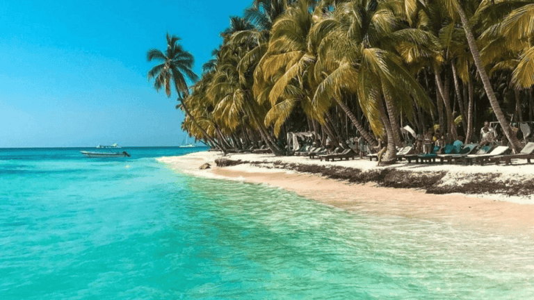 Całodniowa wycieczka na wyspę Saona z odbiorem z Twojego hotelu Punta Cana - Photo 3 (Gallery view)