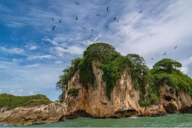 Sabana de la Mar: Los Haitises National Park Day Trip Free