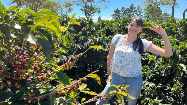 Alajuela: Coffee Plantation Guided Tour with Tasting