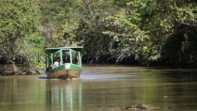 Palo Verde National Park: Wildlife Boat Tour