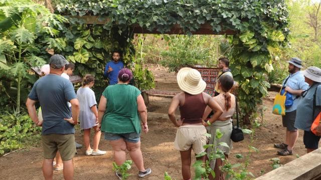 Guanacaste: Diamante Adventure Park All-Day Adventure Pass - Photo 5 (Gallery view)