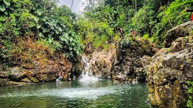 El Yunque Rainforest Puerto Rico Private Tour From San Juan