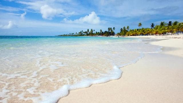 From Punta Cana: Saona Island Full-Day Tour