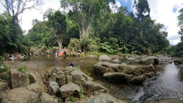 From San Juan: Rainforest Walk, Nature Swim & Luquillo Beach