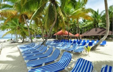 Saona Island: Full-Day Boat Tour All Inclusive
