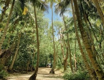 Bayahibe: Saona Island Boat Tour Small Group