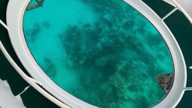 Punta Cana Scuba Doo: Discover Marine Life In a Fun Way