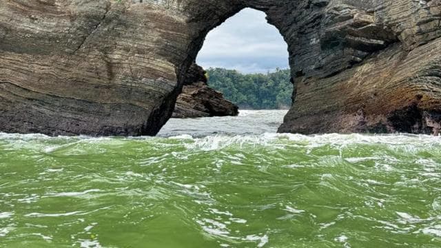 Uvita: Whale & Dolphin Watching Boat Trip w/ Drinks & Snacks