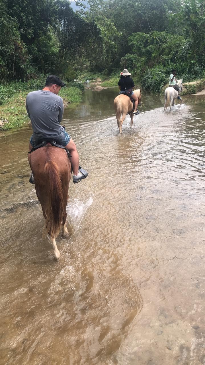 Jarabacoa: Horseride Excursion to Salto Baiguate Waterfall (Copy) - Photo 3 (Gallery view)
