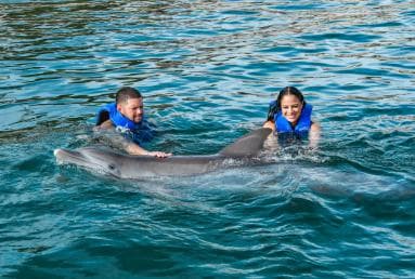 Puerto Plata: Ocean World Adventure Park Swim with Dolphins - Photo 4 (Gallery view)