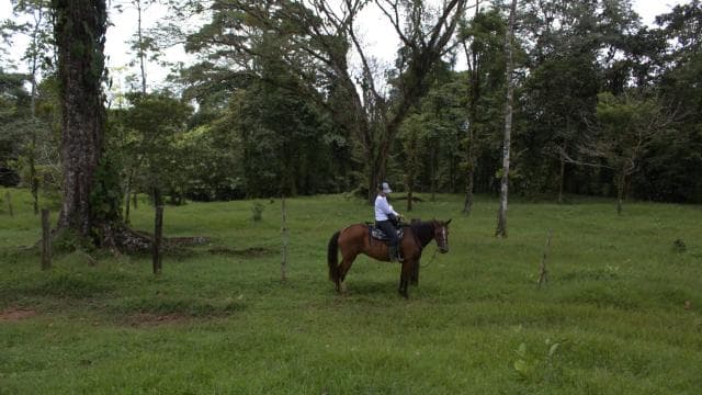 Private Horseback Riding - Río Celeste