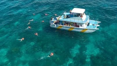 diving without a license catalina island from punta cana