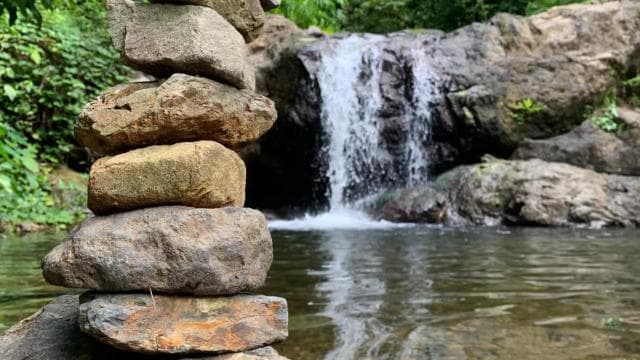 PUERTO RICO: Custom Hiking Tours with Transportation!!