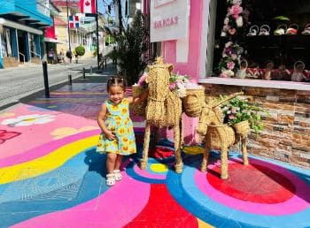 Tour privato della città di Puerto Plata - Photo 5 (Gallery view)