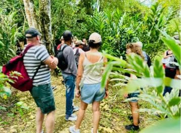 Samana: Los Haitises National Park & Caño Hondo Day Tour