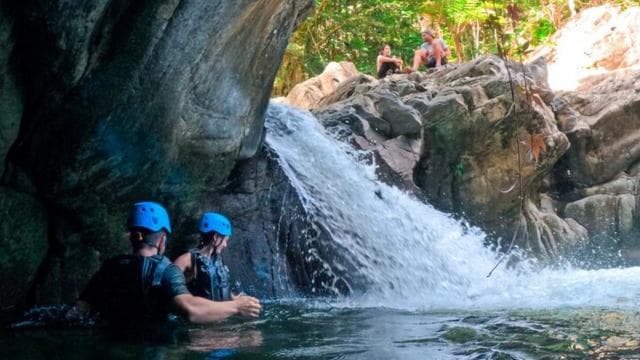 From San Juan: El Yunque National Rainforest Half-Day Tour