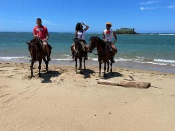 Puerto Plata: Horseback Riding Tour