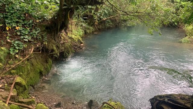 Rio Celeste, explore the rainforest and great waterfall