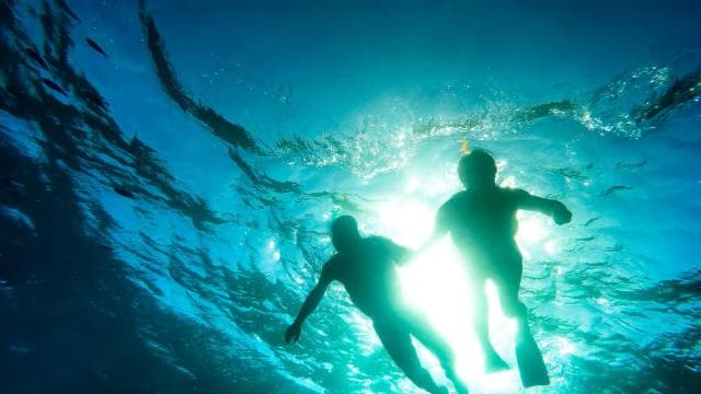 Punta Cana: Catalina Island Snorkeling Tour with Lunch - Dominican Republic