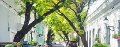 Discover Santo Domingo: A Day Trip from Punta Cana