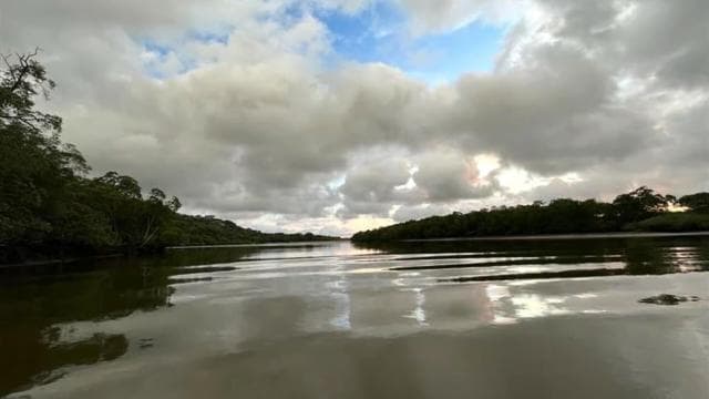 Tamarindo Estuary: Explore by Boat or Kayak - Choose your tour!