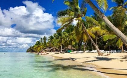 Santo Domingo: Saona Island Day Trip with Lunch and Drinks