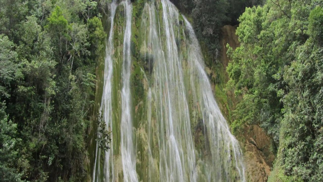 Dominican Republic: El Limón Waterfall Horseback Riding Tour