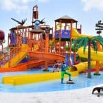 Punta Cana: Dolphin Discovery Swims and Encounters