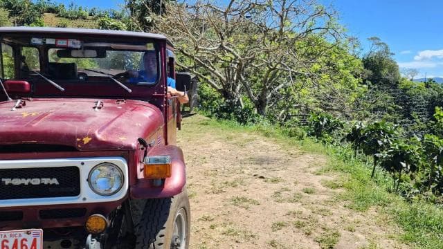 Exploration and Adventure: Toyota Land Cruiser Ride & Hike