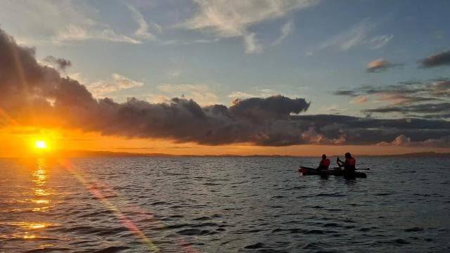 Puerto Jiménez: Aventura en Kayak en el Golfo Dulce + Bioluminiscencia - Photo 5 (Gallery view)