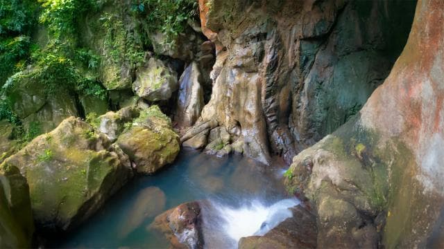 Discover a Hidden Paradise & Learn about Plants.