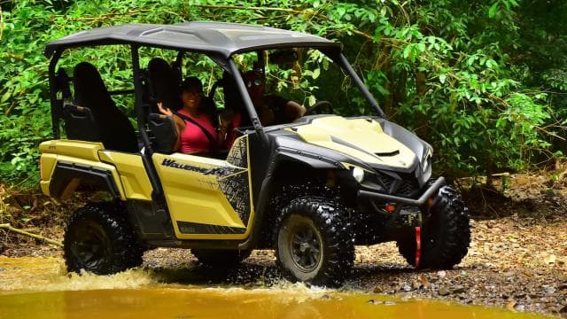 Private 4 hour Buggy Tour Beach, Ocean Views & Waterfall - Photo 4 (Gallery view)