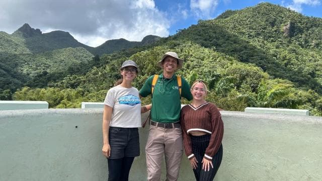 Puerto Rico: El Yunque Sightseeing Half-Day Tour w/Transfer