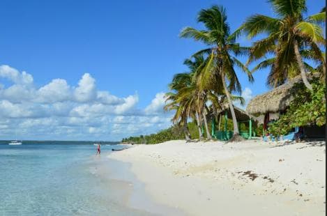 Punta Cana: Catalina Island Snorkeling and lunch Day Trip