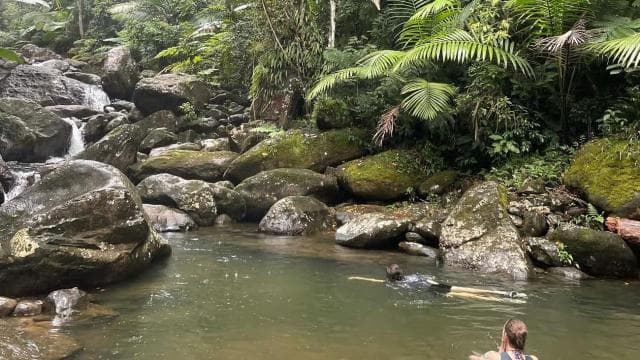 El Yunque: Hidden Off The Path Waterfall Hike w/ Transport