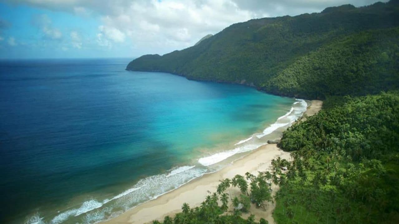 Пригода в Баггі в Playa Rincón від Samaná - Photo 5 (Gallery view)