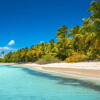 Punta Cana: Saona Island Day Trip with Tickets and Lunch - Dominican Republic