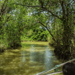 Los Haitises Boat Ride + Caño Hondo Natural Pools