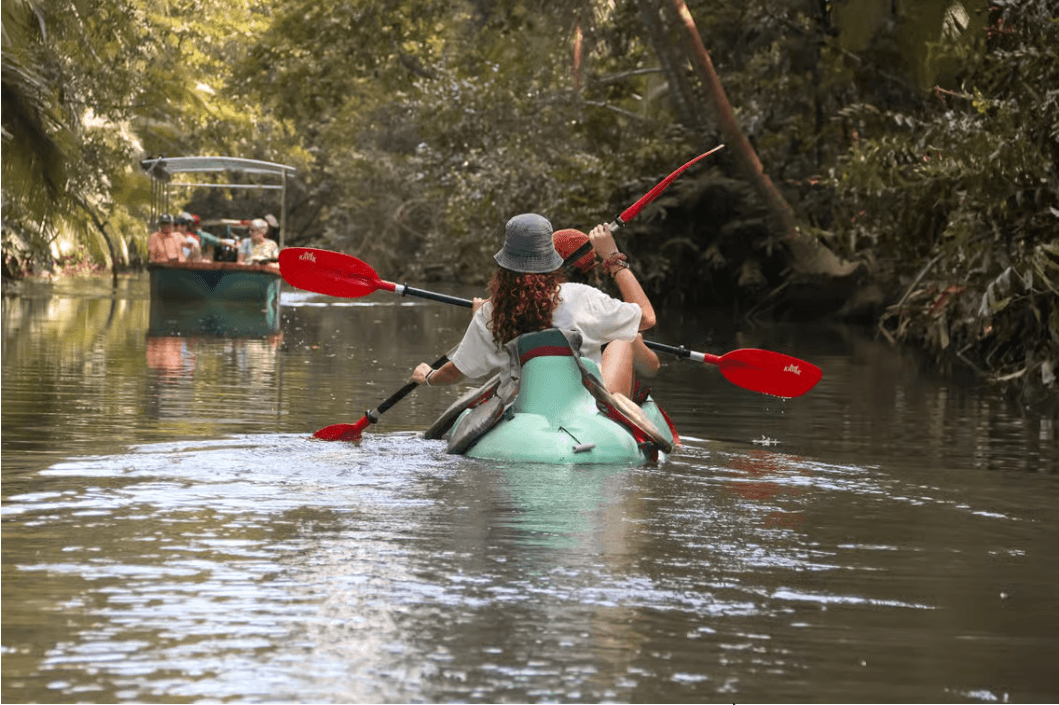 Quepos: Kayak Tour in the Mangroves Near Manuel Antonio Park - Photo 4 (Gallery view)