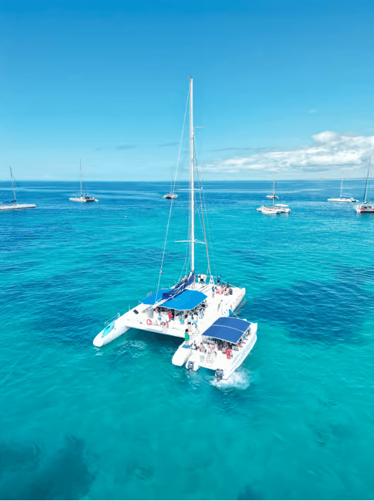 From Santo Domingo: Isla Saona Day Trip with Catamaran Ride - Photo 4 (Gallery view)