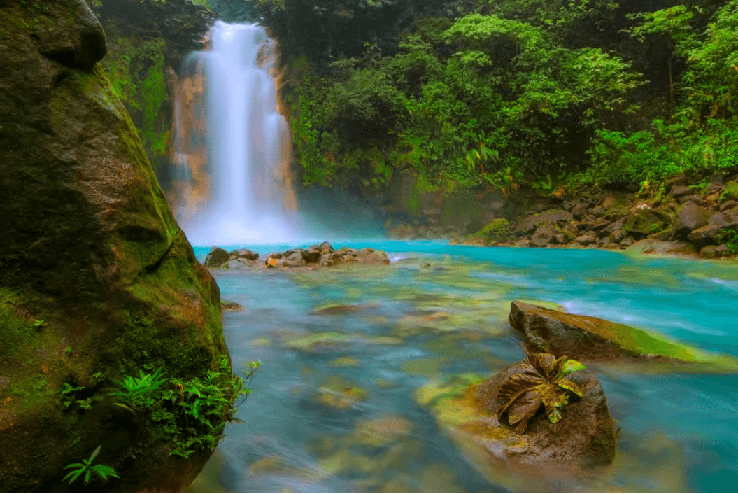 From La Fortuna: Rio Celeste Full-Day Tour - Photo 4 (Gallery view)