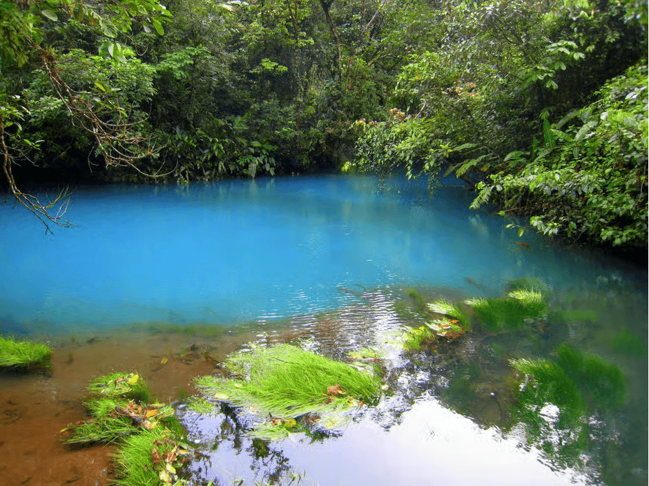 From La Fortuna: Rio Celeste Full-Day Tour - Photo 3 (Gallery view)